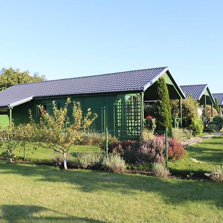Domki Green Grzybowo Grzybowo  Eksteriør bilde